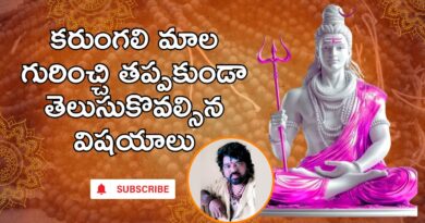 original karungali mala in Telugu – కారుంగళి మాల గురించి ప్రతి ఒక్కరు తప్పక తెలుసుకోవాల్సిన విషయాలు